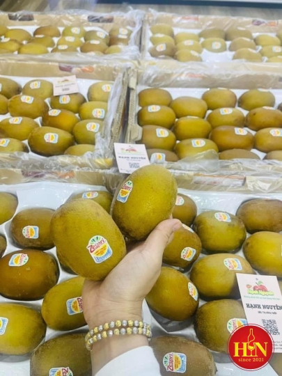 Kiwi Vàng Newzeland