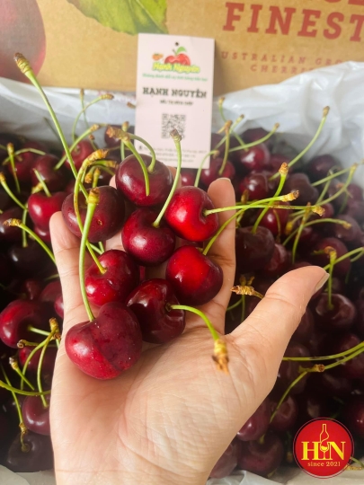 Cherry Mỹ 