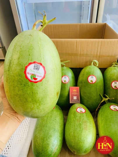 Dua Hấu Hữu Cơ Việt Nam 