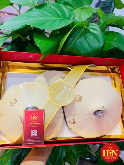 Nấm Linh Chi Hàn Quốc Thượng Hạng