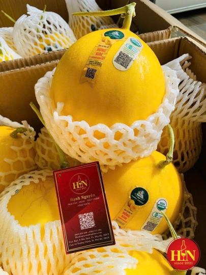 Dưa Lưới Hoàng Kim Denny Green