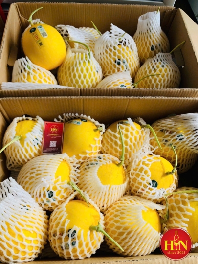 Dưa Lưới Hoàng Kim Denny Green